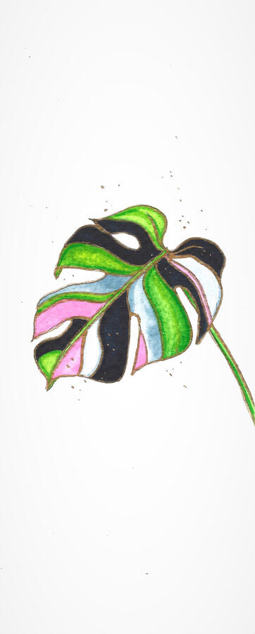 multicolor monstera leaf