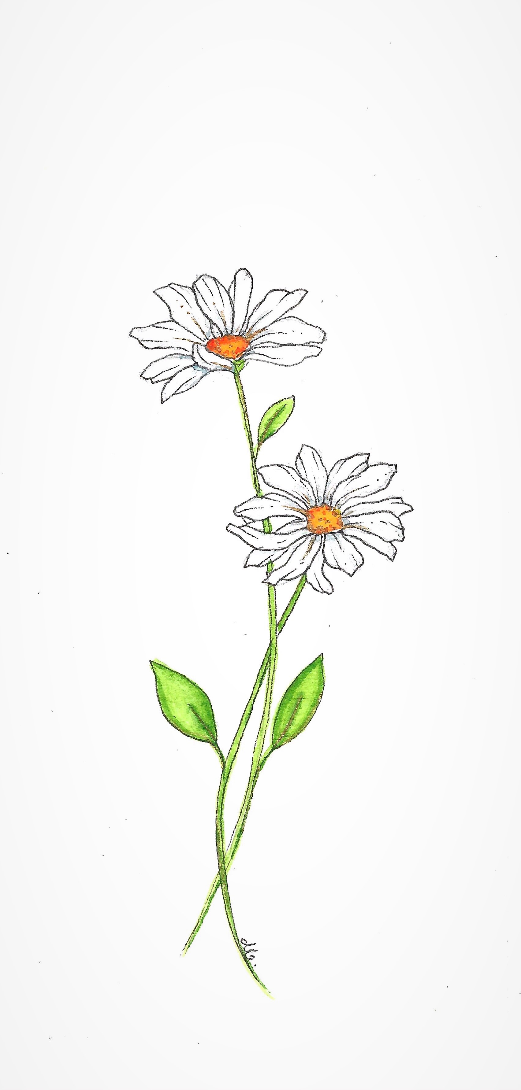 daisies watercolor bookmark