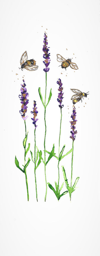 Lavender & bees 