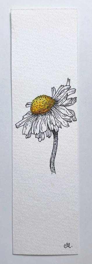 Wild daisies watercolor