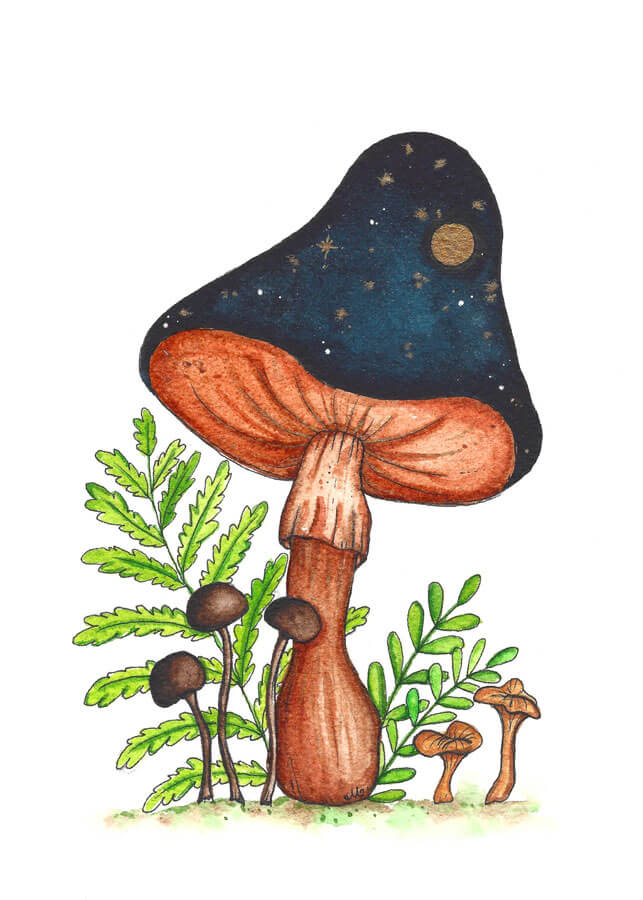 Whimsical mushrooms fairytales