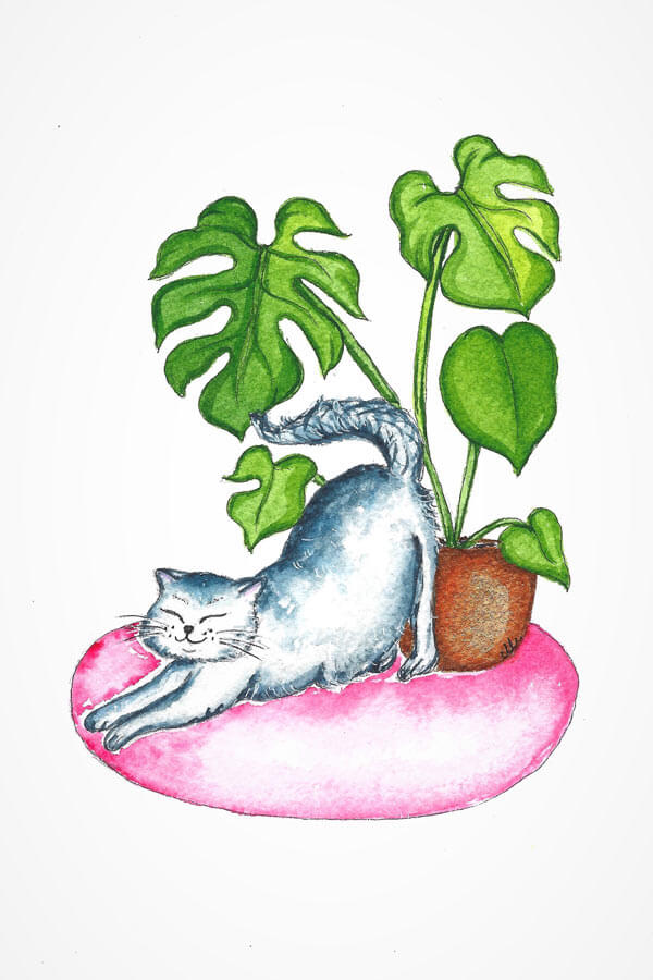 plant love cat 