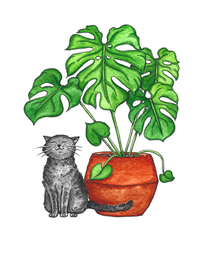 happy cat with monstera