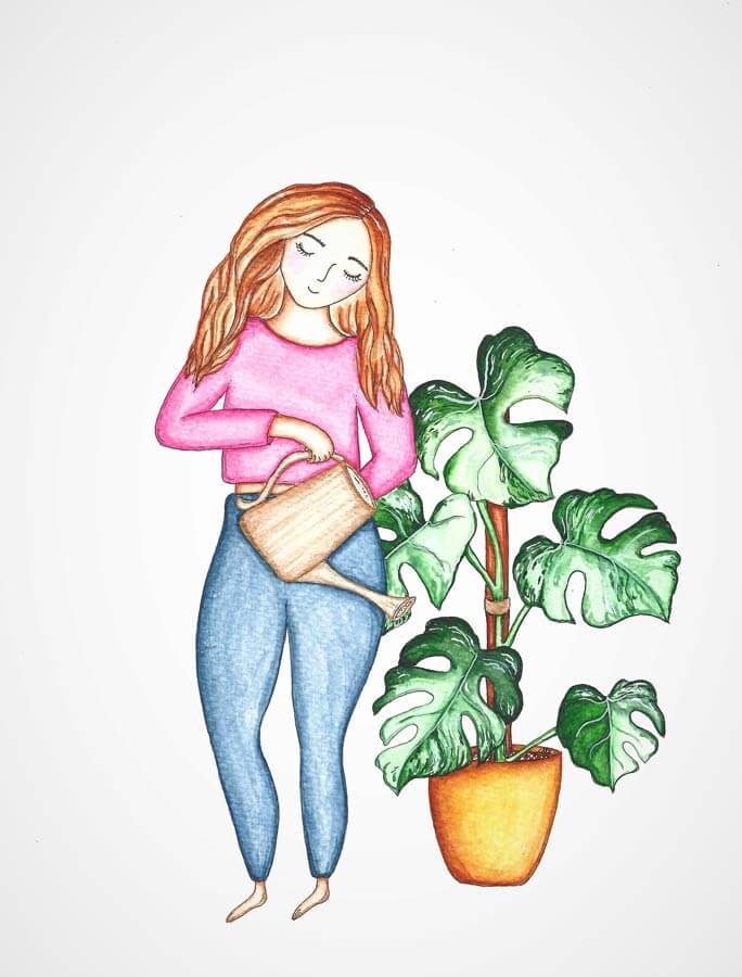 plant lady watering monstera